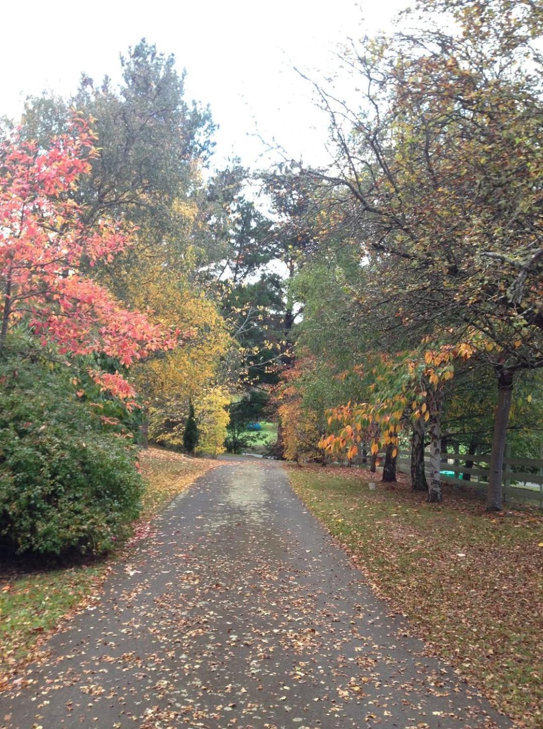 Bed and Breakfast Crabtree House Grove Esterno foto