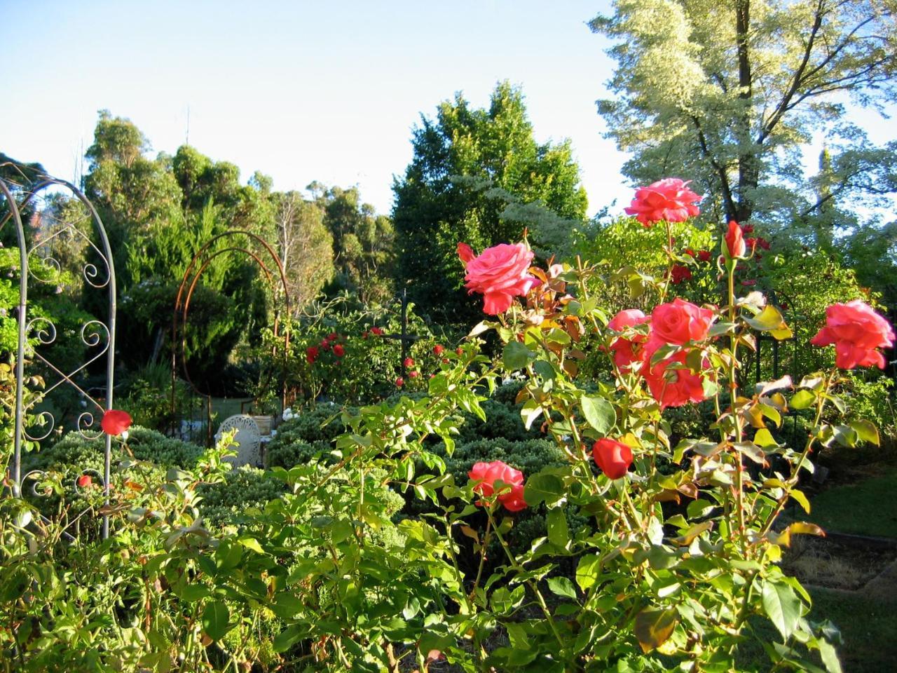 Bed and Breakfast Crabtree House Grove Esterno foto