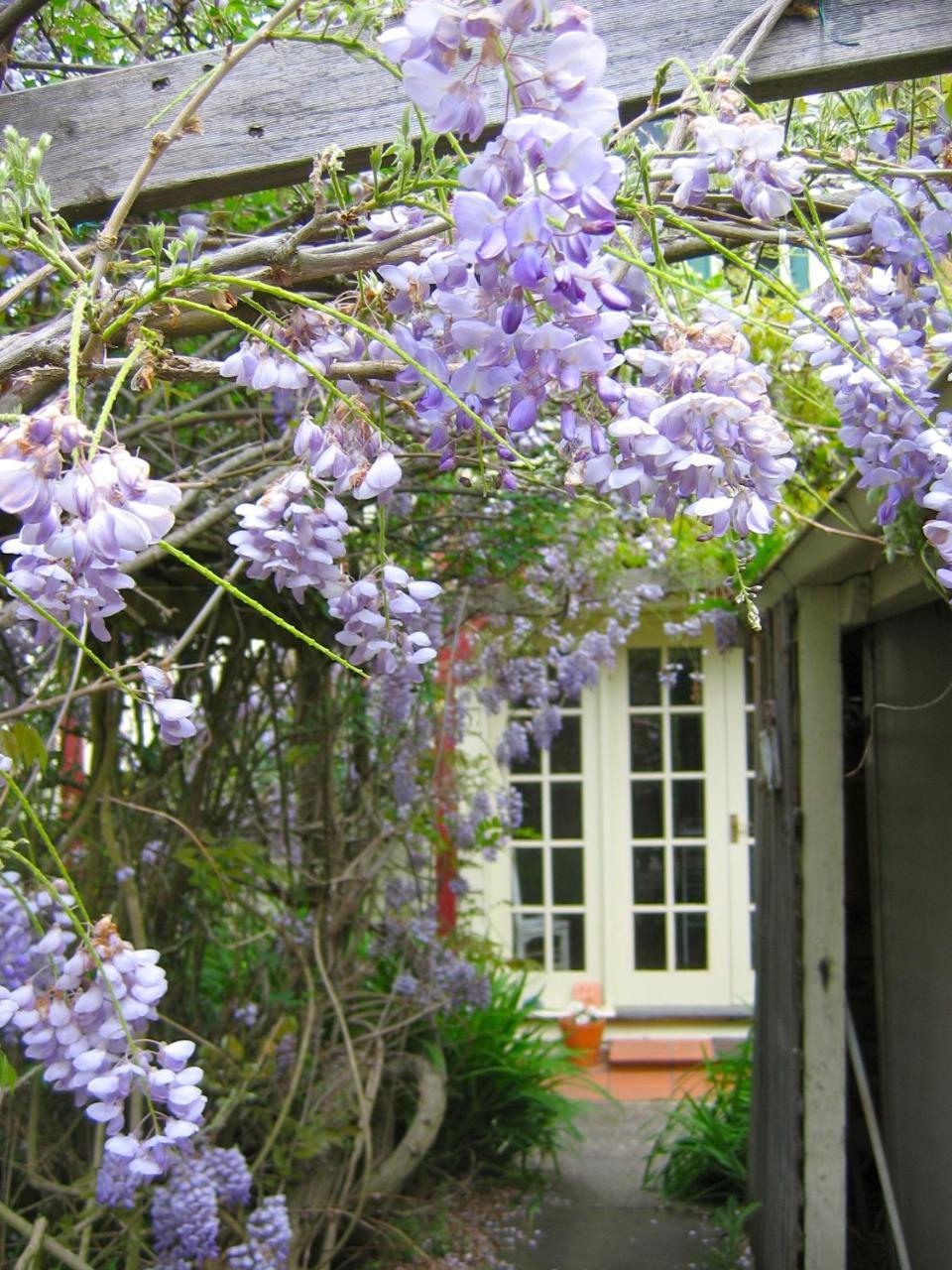 Bed and Breakfast Crabtree House Grove Esterno foto